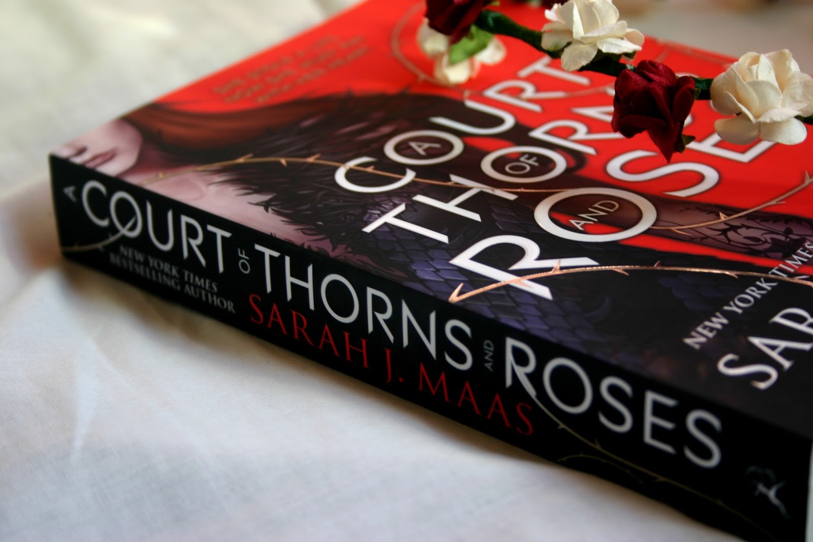 A Court of Thorns and Roses by Sarah J Maas Book Club Feature